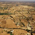 Agriculture irriguée en Libye - crédits : Reza/ Hulton Archive/ Getty Images