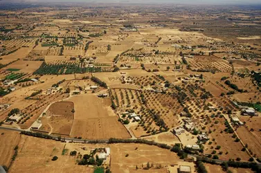 Agriculture irriguée en Libye - crédits : Reza/ Hulton Archive/ Getty Images