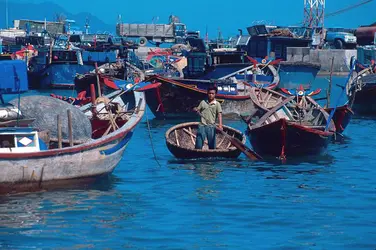 Port de Cau Da (Vietnam) - crédits : Insight Guides