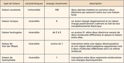 Types de liaisons dans les solides - crédits : Encyclopædia Universalis France