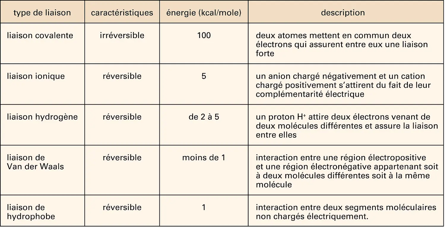 Types de liaisons dans les solides