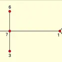 Arbre de sept sommets - crédits : Encyclopædia Universalis France