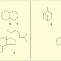 Types polycycliques - crédits : Encyclopædia Universalis France