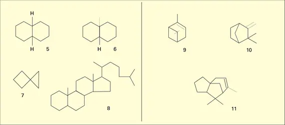 Types polycycliques - crédits : Encyclopædia Universalis France