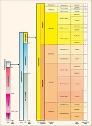 Cénozoïque : échelle stratigraphique - crédits : Encyclopædia Universalis France