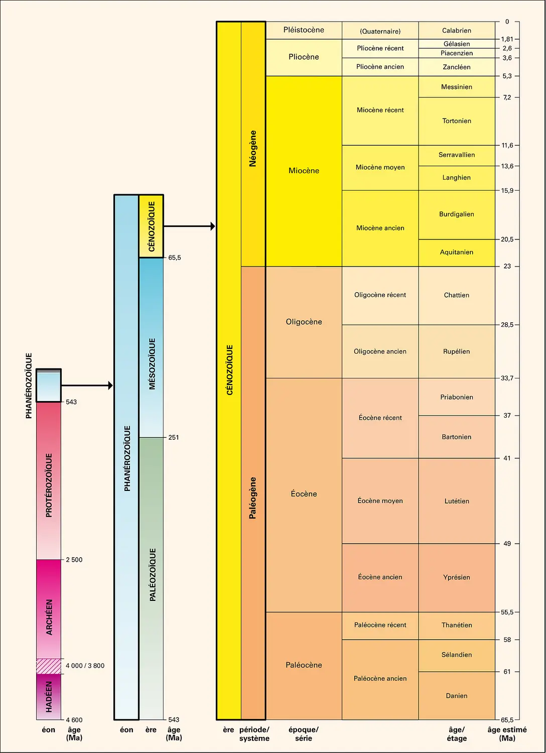 Cénozoïque : échelle stratigraphique