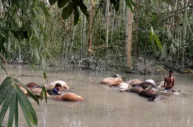Inondation au Bangladesh - crédits : Jewel Samad/ AFP