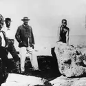 Cecil Rhodes - crédits : Hulton Archive/ Getty Images