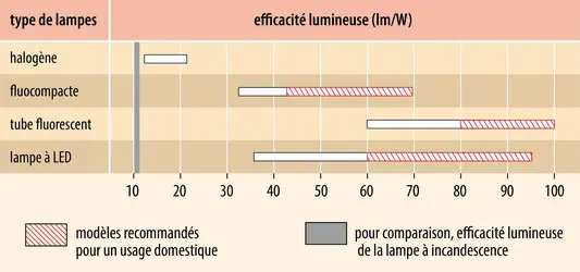 Lampes d’éclairage : efficacité lumineuse - crédits : Encyclopædia Universalis France