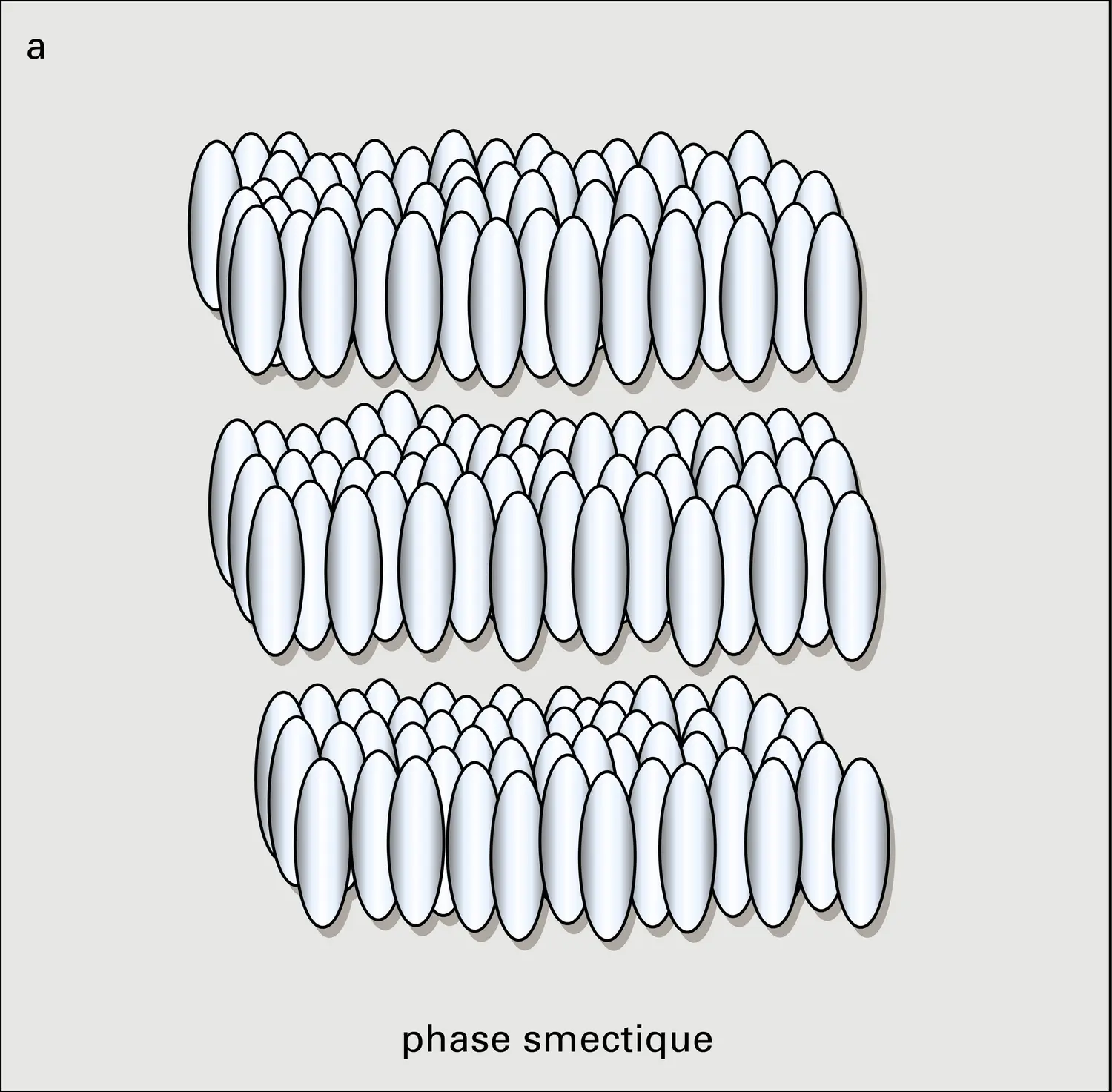 Cristaux thermotropes - vue 1