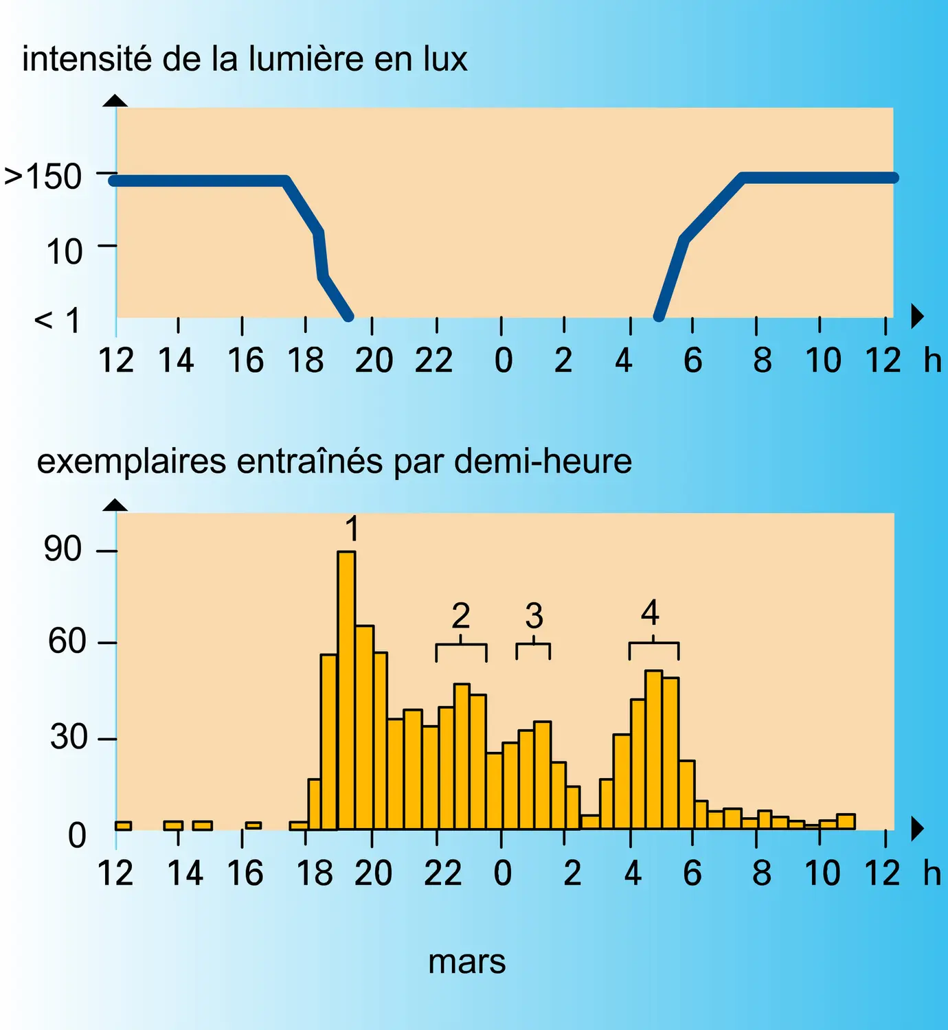 Phénomène de dérive - vue 1