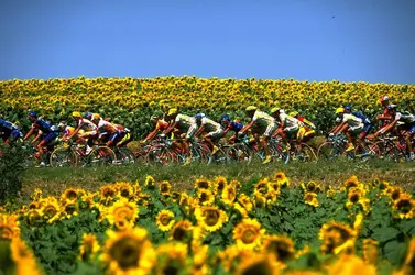 Le Tour de France - crédits : Graham Chadwick/ Allsport/ Getty
