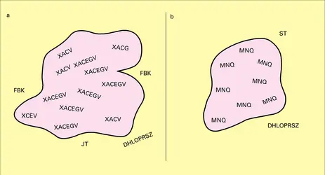 Critères de Boas - crédits : Encyclopædia Universalis France