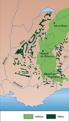 Hêtres et mélèzes : répartition dans les Alpes occidentales - crédits : Encyclopædia Universalis France