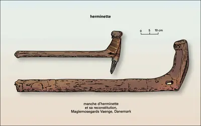 Herminette - crédits : Encyclopædia Universalis France