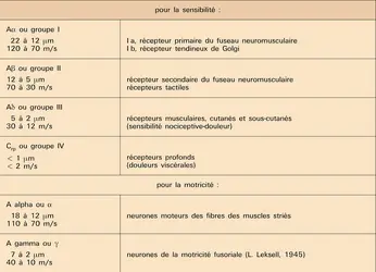 Fibres : types - crédits : Encyclopædia Universalis France