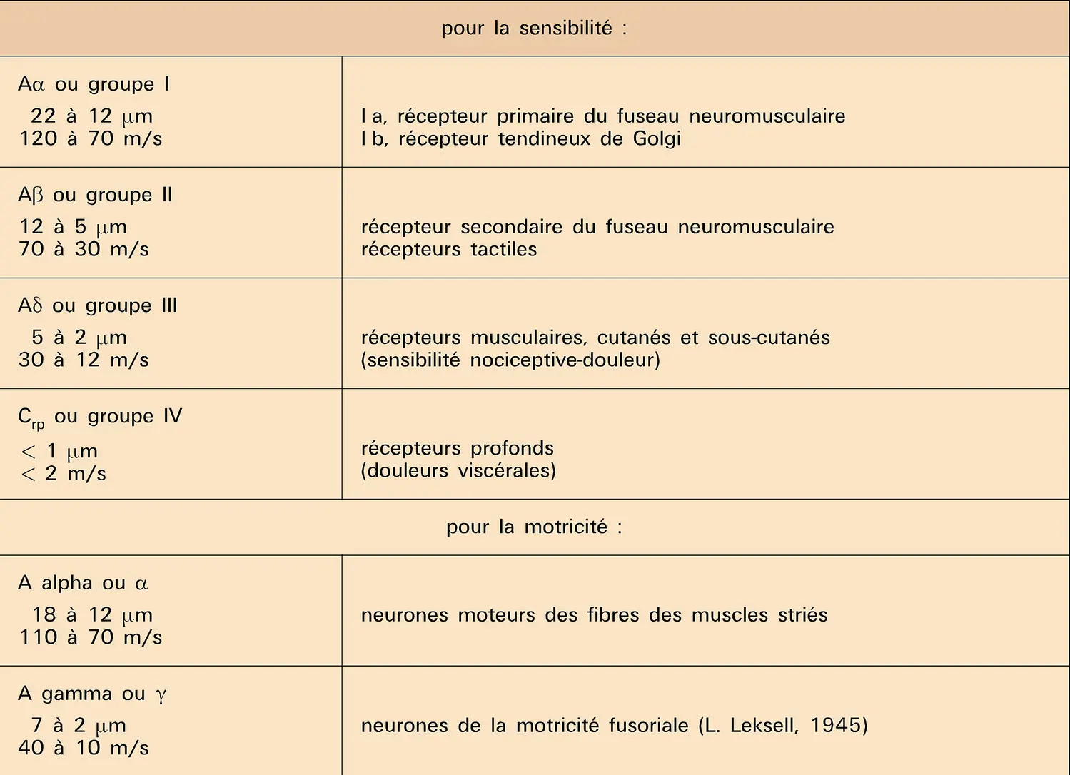 Fibres : types