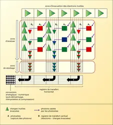 Photographie numérique : fonctionnement d'un capteur CCD avec fonction d'obturation - crédits : Encyclopædia Universalis France