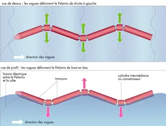 Principe d’un dispositif de type Pelamis - crédits : Encyclopædia Universalis France