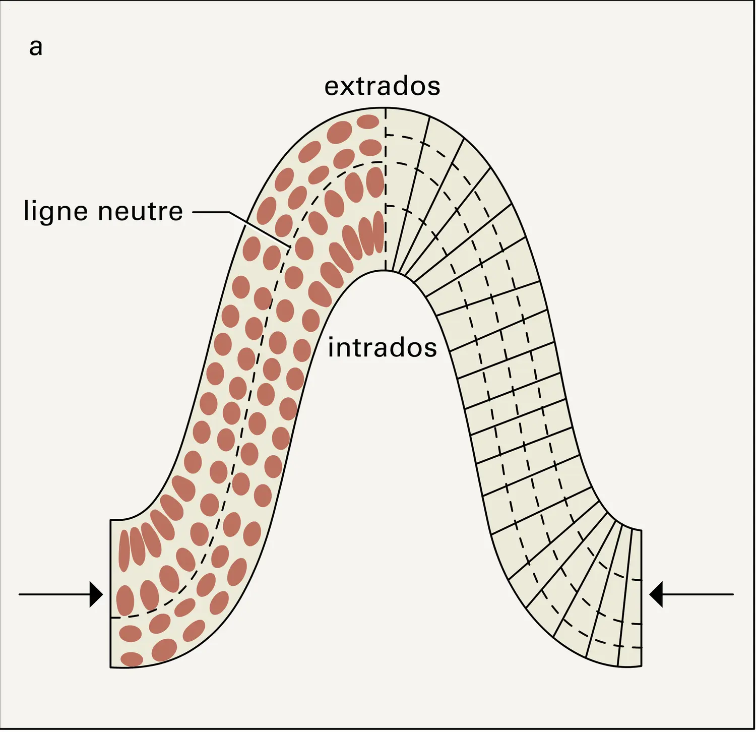 Plis : déformations - vue 1