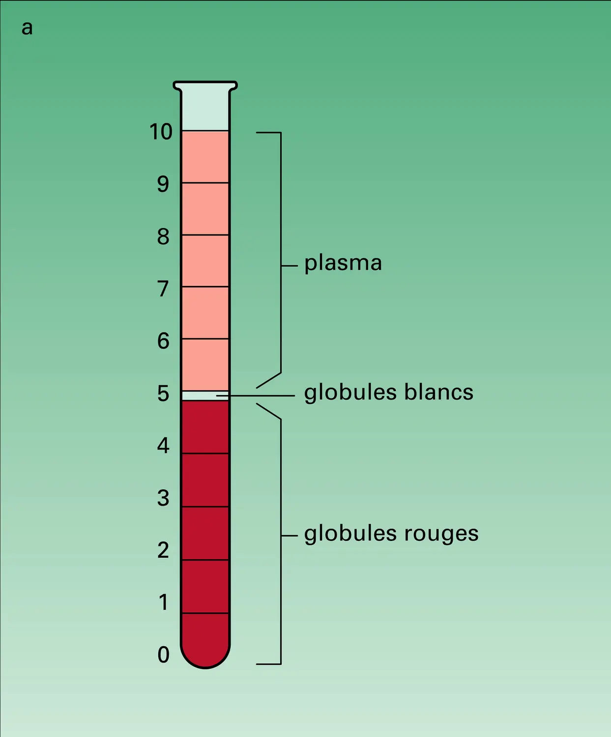 Mesure Du Taux Dhématocrite Vue 1 Média Encyclopædia Universalis 8477