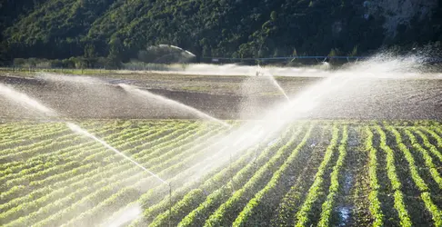 Irrigation mécanique - crédits : Tish1/ Shutterstock