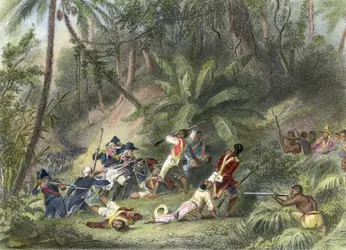 Révolte des esclaves noirs de Saint-Domingue, XVIII<sup>e</sup> siècle - crédits : Bettmann/ Getty Images
