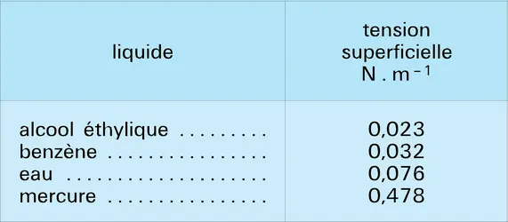 Tension superficielle - crédits : Encyclopædia Universalis France