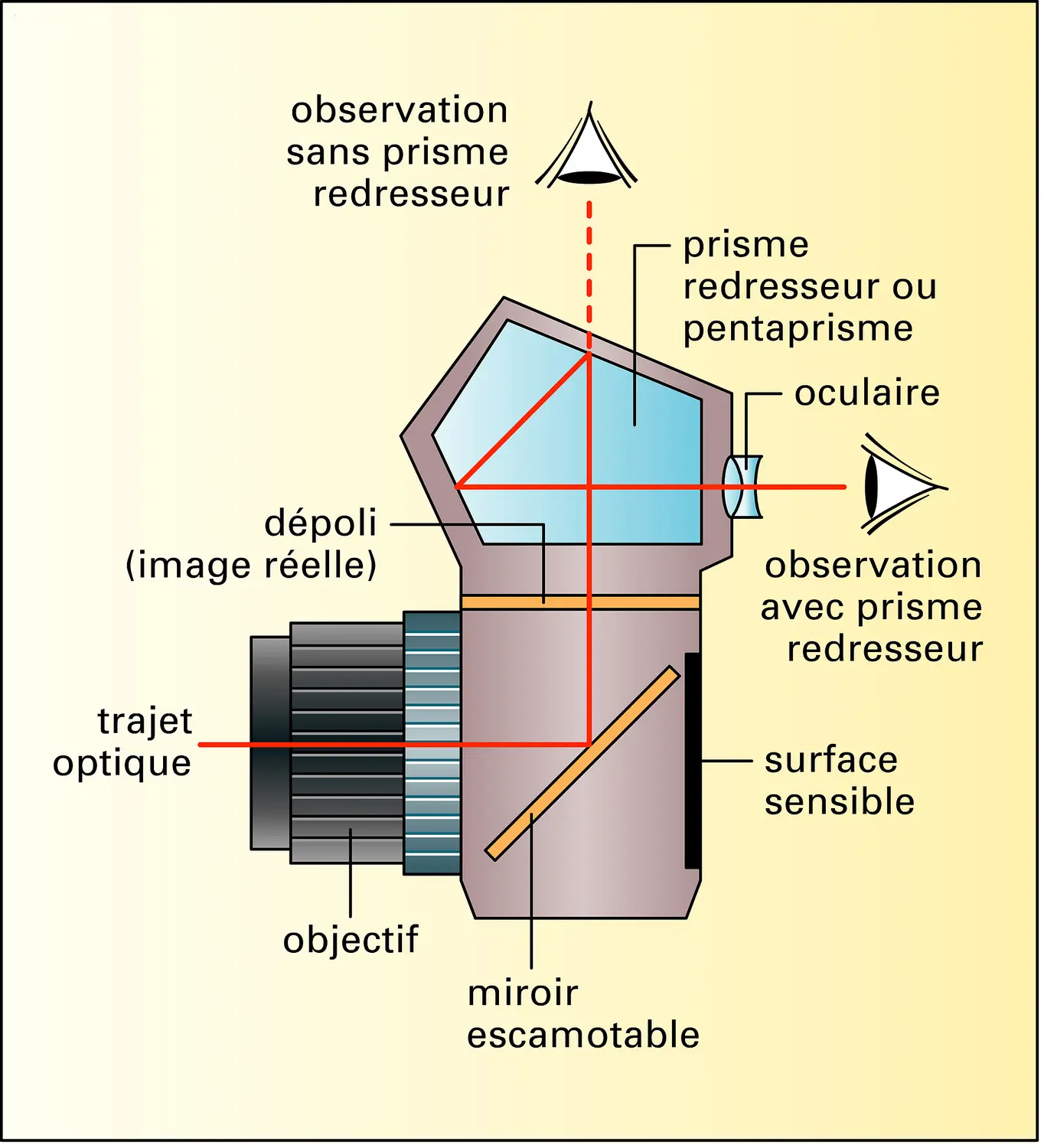 Photographie : principe de la visée reflex