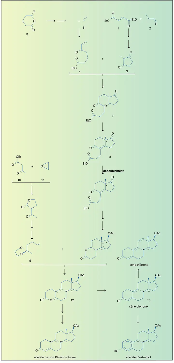 Diosgénine