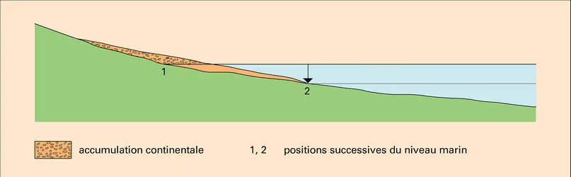 Transgression marine sur plate-forme littorale - crédits : Encyclopædia Universalis France