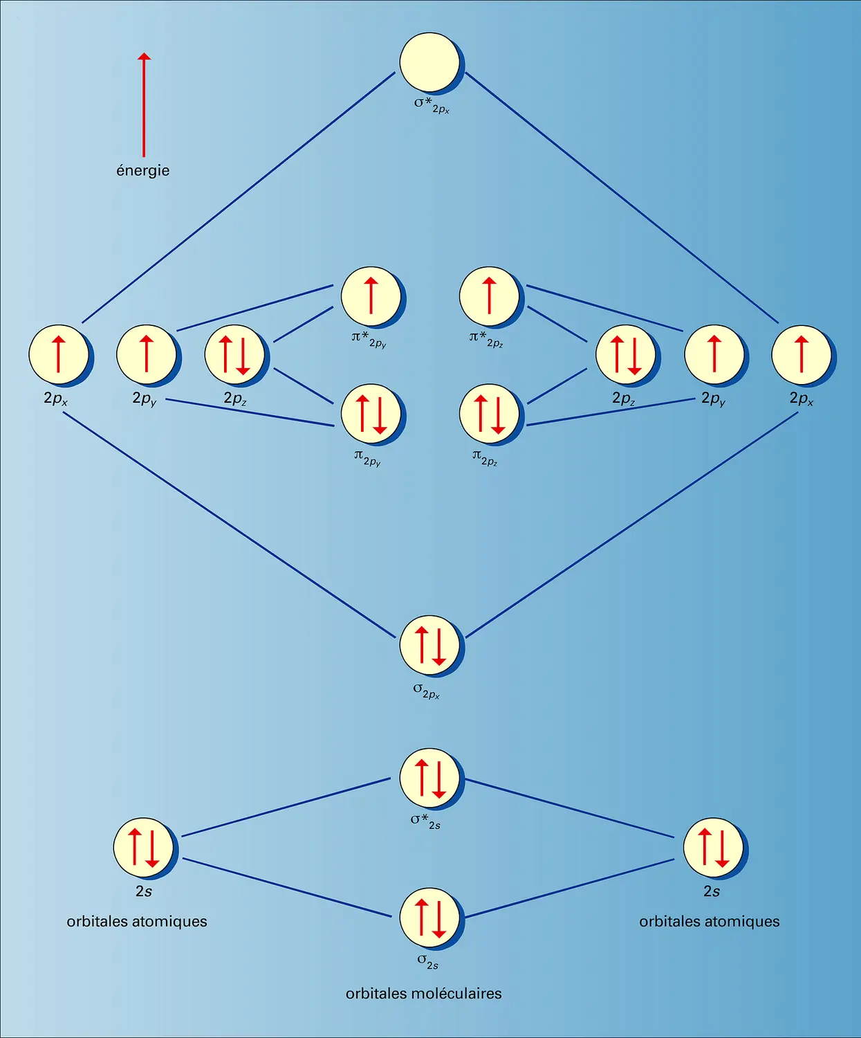 Molécule : structure