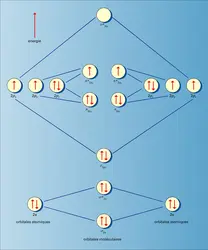Molécule : structure - crédits : Encyclopædia Universalis France