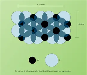 Forstérite : structure - crédits : Encyclopædia Universalis France