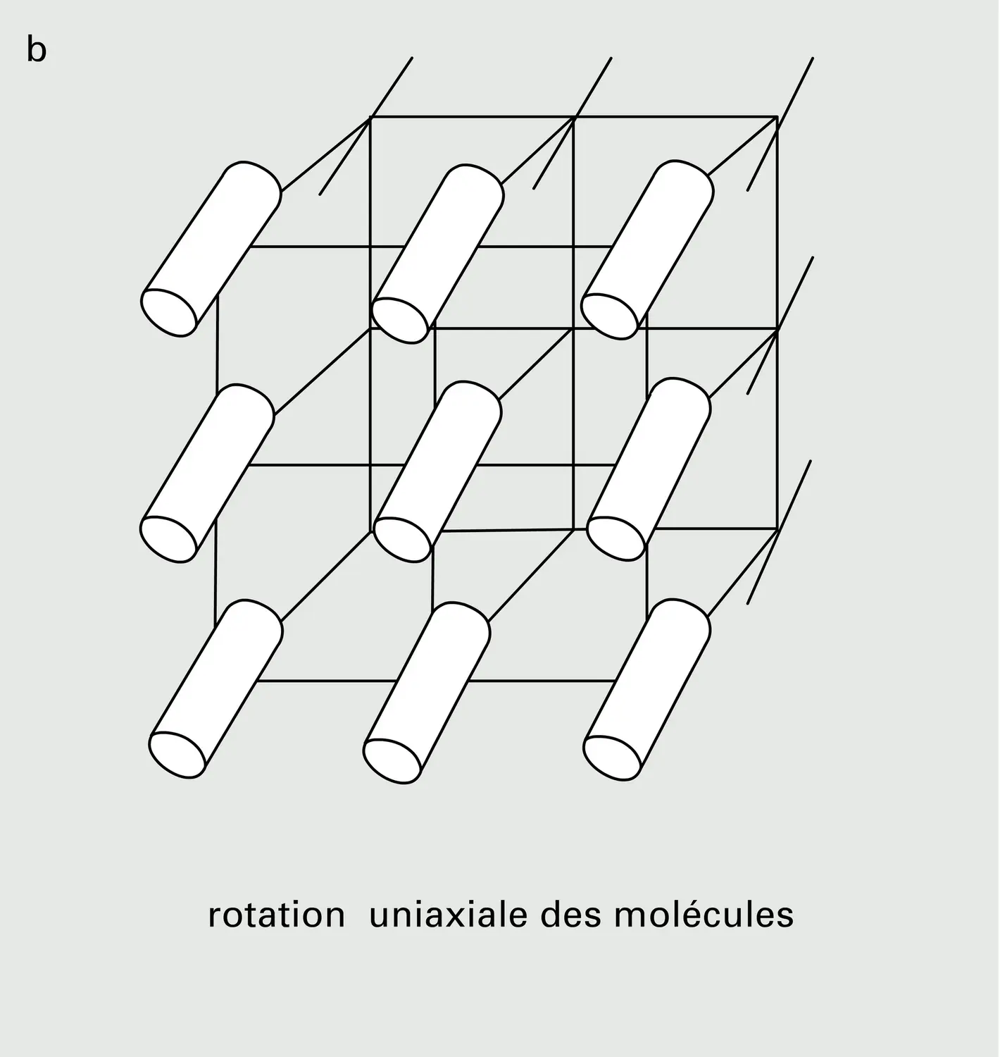 Formation par rupture d'ordre rotationnelle - vue 2