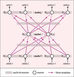 Réseau de neurones formels - crédits : Encyclopædia Universalis France