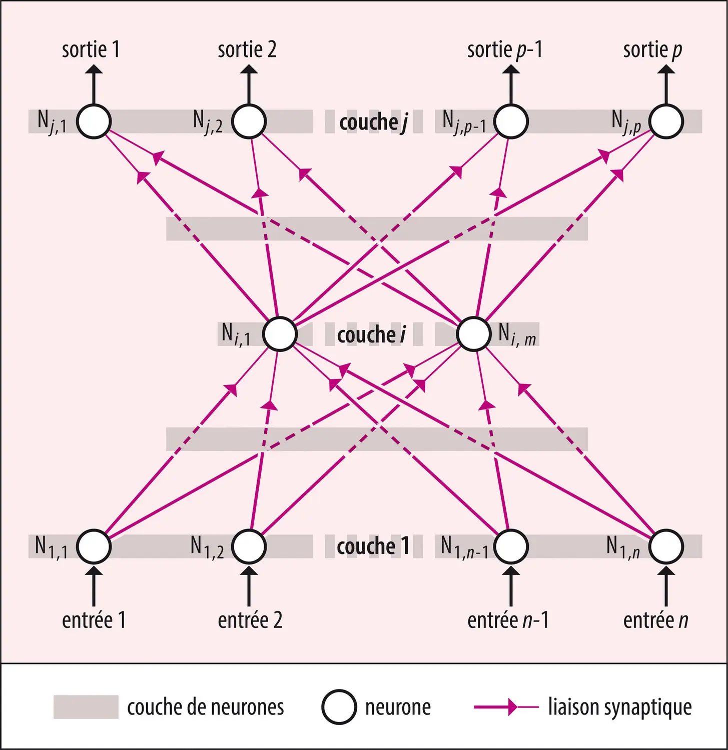 Réseau de neurones formels