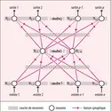 Réseau de neurones formels - crédits : Encyclopædia Universalis France