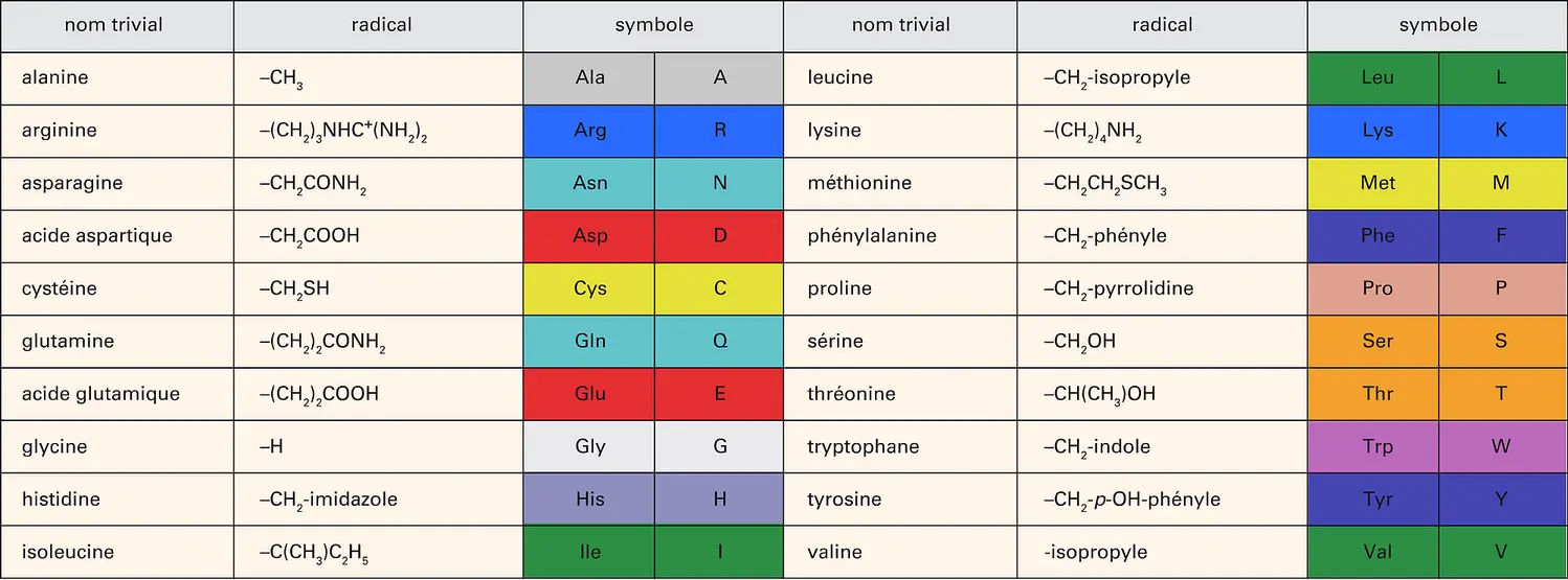 Amino-acides