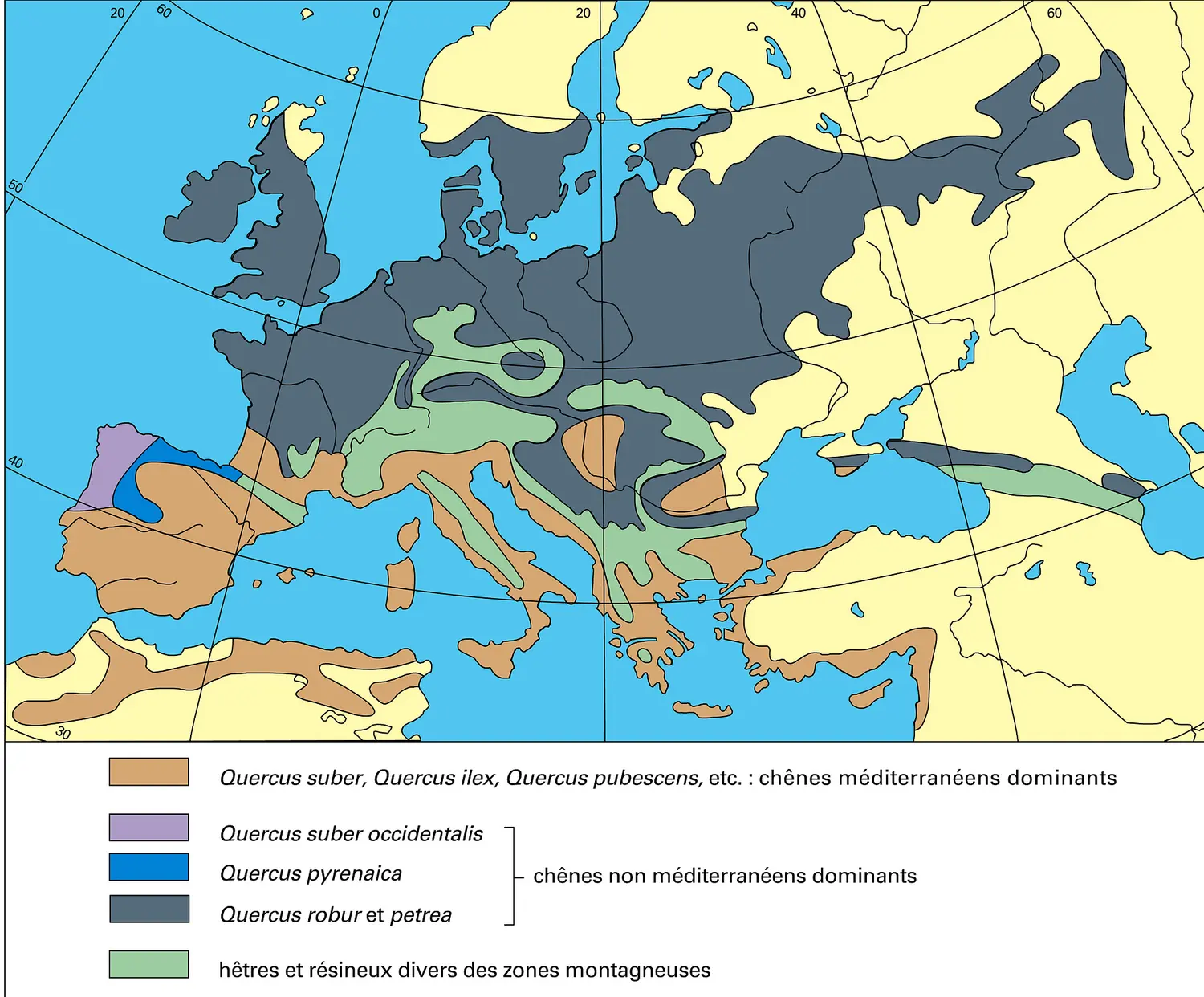 Quercus en Europe