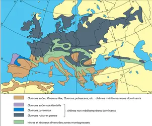 Quercus en Europe - crédits : Encyclopædia Universalis France