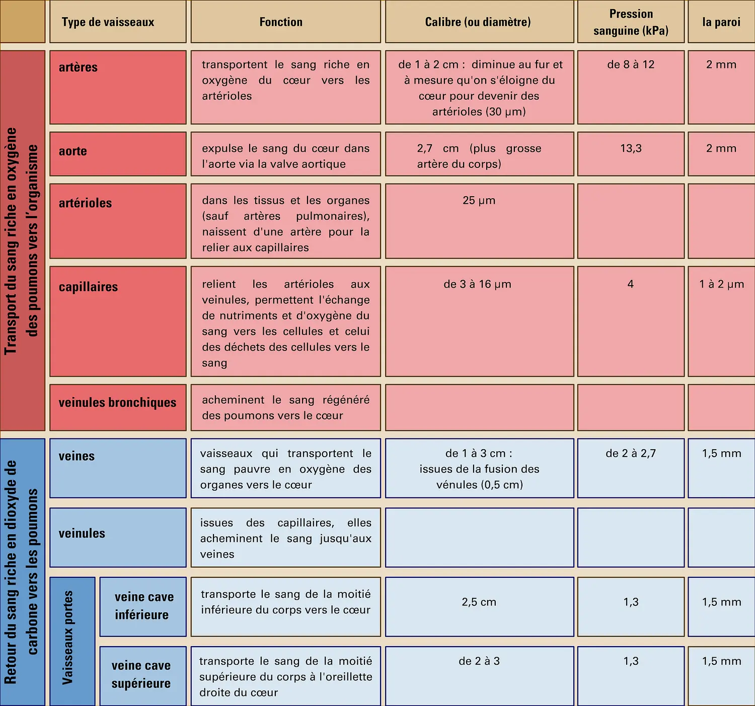 Différent types de vaisseaux