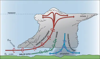 Développement d’une tornade au sein d’une supercellule orageuse - crédits : Encyclopædia Universalis France