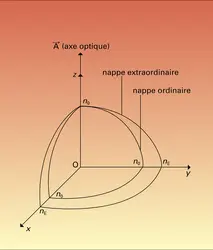 Milieux uniaxes - crédits : Encyclopædia Universalis France