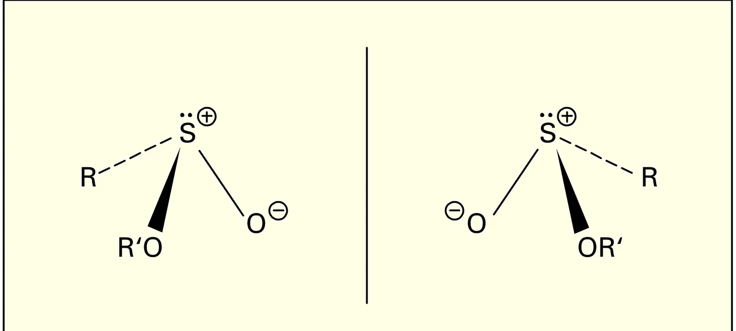 Isomérie optique d'un ester sulfinique