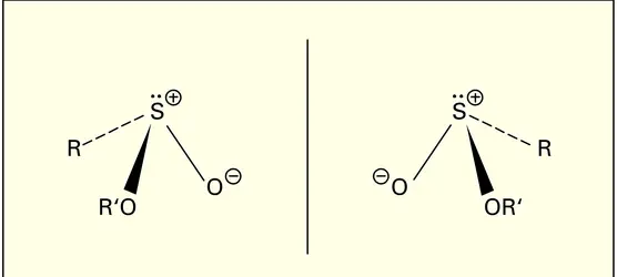 Isomérie optique d'un ester sulfinique - crédits : Encyclopædia Universalis France