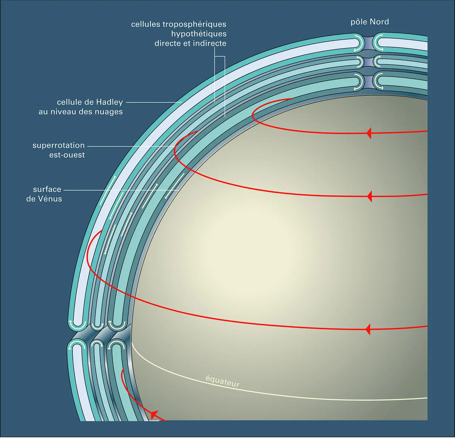 Vénus : cellule de Hadley au niveau des nuages surmontant deux cellules troposphériques à circulation directe et indirecte