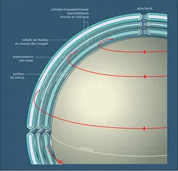 Vénus : cellule de Hadley au niveau des nuages surmontant deux cellules troposphériques à circulation directe et indirecte - crédits : Encyclopædia Universalis France