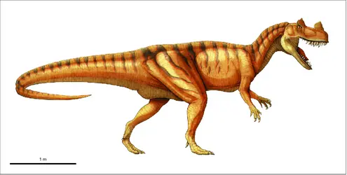 Ceratosaurus - crédits : Encyclopædia Universalis France