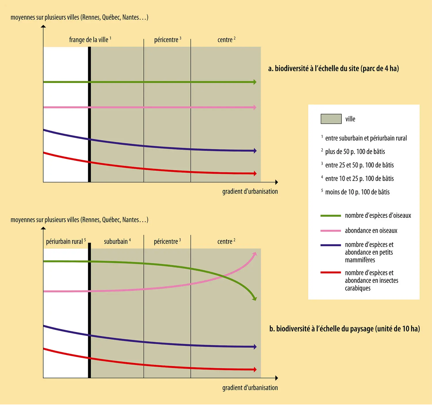 Biodiversité et gradient d'urbanisation